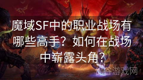 魔域SF中的职业战场有哪些高手？如何在战场中崭露头角？