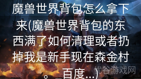 魔兽世界背包怎么拿下来(魔兽世界背包的东西满了如何清理或者扔掉我是新手现在森金村。_百度...)