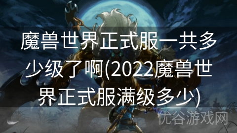 魔兽世界正式服一共多少级了啊(2022魔兽世界正式服满级多少)