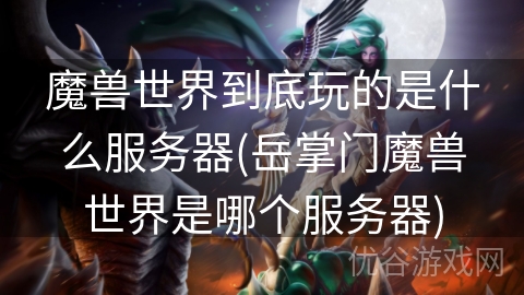 魔兽世界到底玩的是什么服务器(岳掌门魔兽世界是哪个服务器)