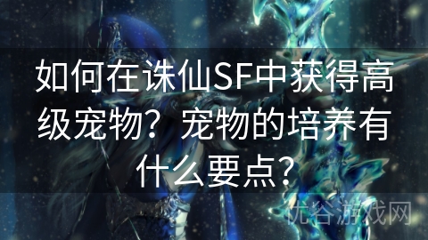 如何在诛仙SF中获得高级宠物？宠物的培养有什么要点？