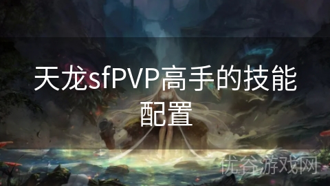 天龙sfPVP高手的技能配置