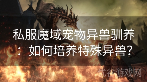 私服魔域宠物异兽驯养：如何培养特殊异兽？