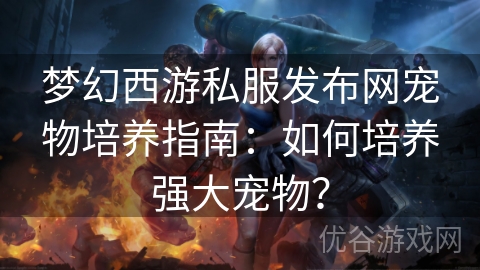 梦幻西游私服发布网宠物培养指南：如何培养强大宠物？