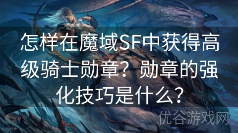 怎样在魔域SF中获得高级骑士勋章？勋章的强化技巧是什么？