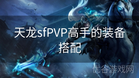 天龙sfPVP高手的装备搭配