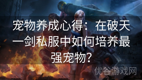 宠物养成心得：在破天一剑私服中如何培养最强宠物？