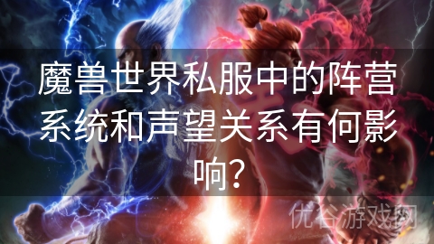 魔兽世界私服中的阵营系统和声望关系有何影响？