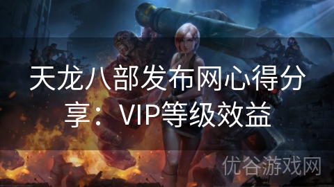 天龙八部发布网心得分享：VIP等级效益