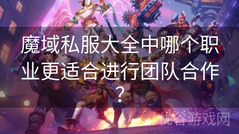 魔域私服大全中哪个职业更适合进行团队合作？