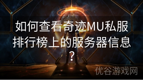 如何查看奇迹MU私服排行榜上的服务器信息？