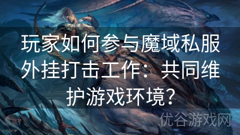 玩家如何参与魔域私服外挂打击工作：共同维护游戏环境？