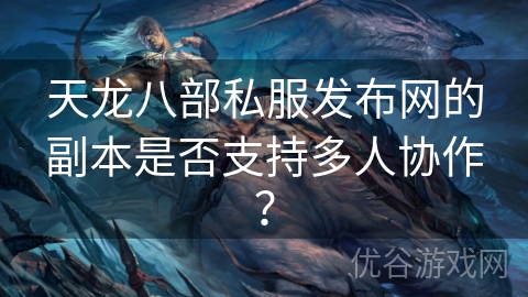 天龙八部私服发布网的副本是否支持多人协作？