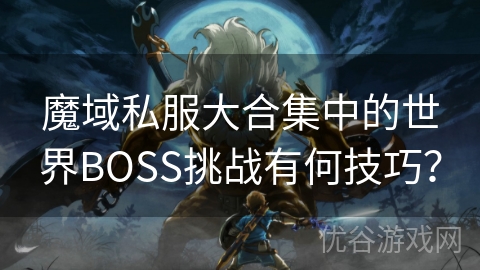 魔域私服大合集中的世界BOSS挑战有何技巧？