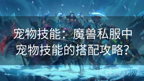 宠物技能：魔兽私服中宠物技能的搭配攻略？