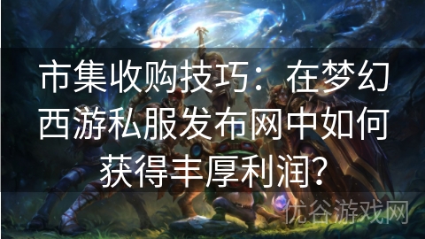 市集收购技巧：在梦幻西游私服发布网中如何获得丰厚利润？