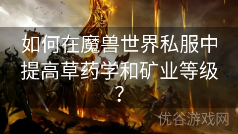 如何在魔兽世界私服中提高草药学和矿业等级？