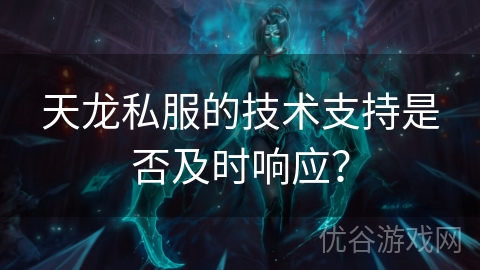 天龙私服的技术支持是否及时响应？