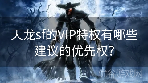 天龙sf的VIP特权有哪些建议的优先权？