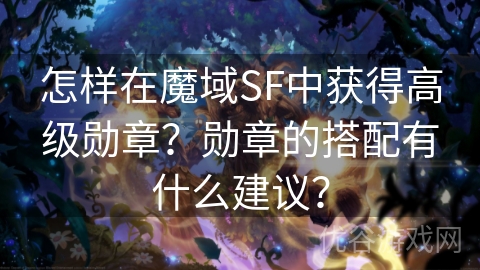 怎样在魔域SF中获得高级勋章？勋章的搭配有什么建议？