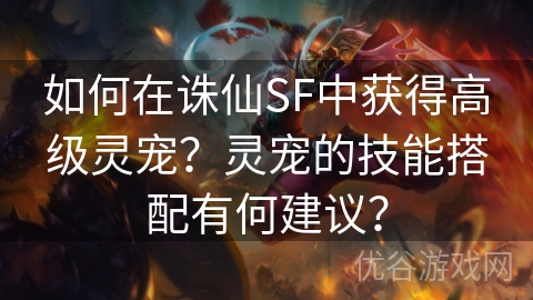 如何在诛仙SF中获得高级灵宠？灵宠的技能搭配有何建议？