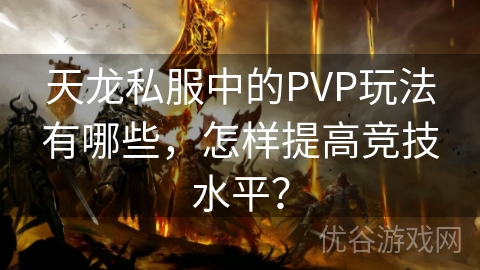 天龙私服中的PVP玩法有哪些，怎样提高竞技水平？