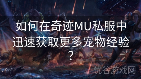 如何在奇迹MU私服中迅速获取更多宠物经验？