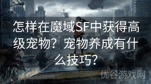 怎样在魔域SF中获得高级宠物？宠物养成有什么技巧？