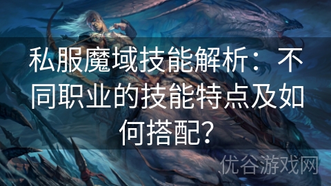 私服魔域技能解析：不同职业的技能特点及如何搭配？