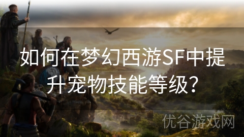 如何在梦幻西游SF中提升宠物技能等级？