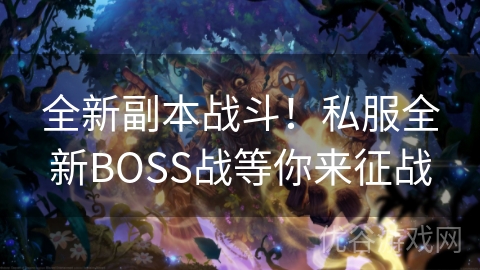 全新副本战斗！私服全新BOSS战等你来征战