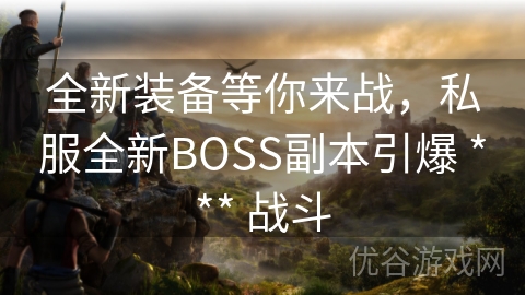 全新装备等你来战，私服全新BOSS副本引爆 *** 战斗