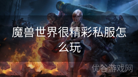 魔兽世界很精彩私服怎么玩