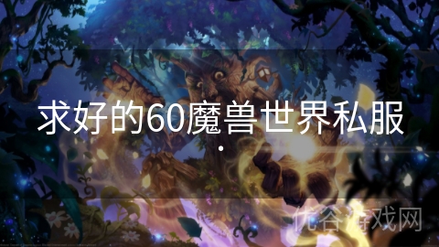 求好的60魔兽世界私服.