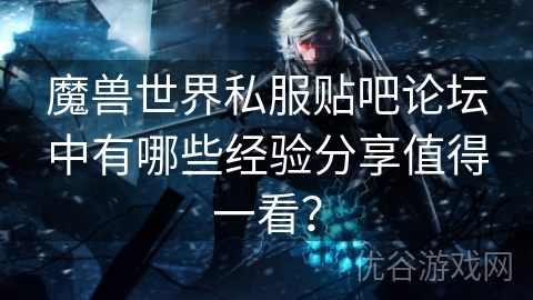 魔兽世界私服贴吧论坛中有哪些经验分享值得一看？