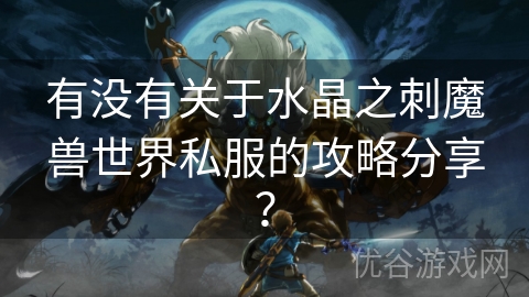 有没有关于水晶之刺魔兽世界私服的攻略分享？