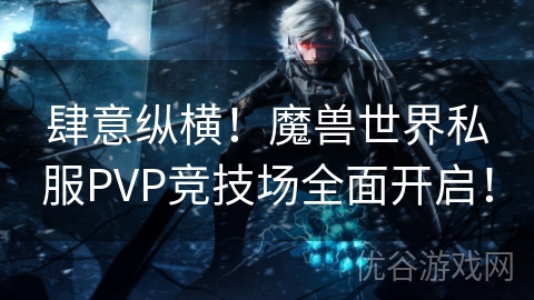 肆意纵横！魔兽世界私服PVP竞技场全面开启！