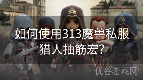 如何使用313魔兽私服猎人抽筋宏？