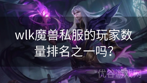 wlk魔兽私服的玩家数量排名之一吗？