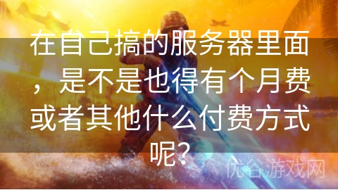 在自己搞的服务器里面，是不是也得有个月费或者其他什么付费方式呢？