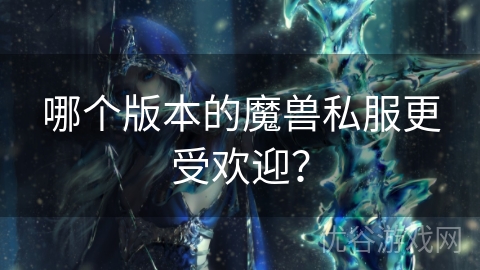 哪个版本的魔兽私服更受欢迎？