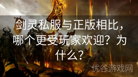 剑灵私服与正版相比，哪个更受玩家欢迎？为什么？