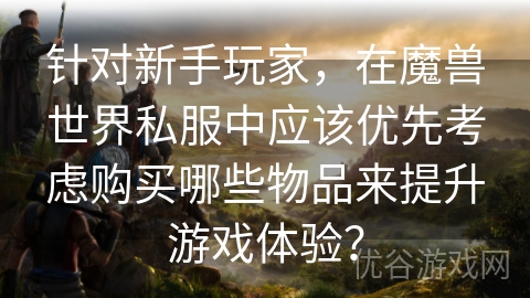 针对新手玩家，在魔兽世界私服中应该优先考虑购买哪些物品来提升游戏体验？