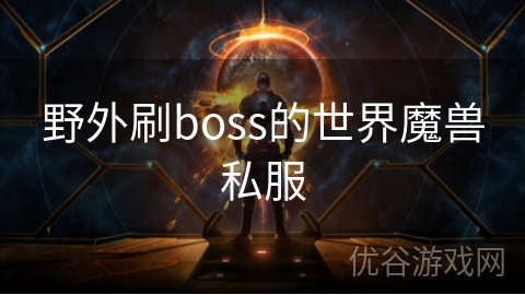 野外刷boss的世界魔兽私服