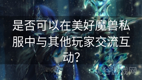 是否可以在美好魔兽私服中与其他玩家交流互动？