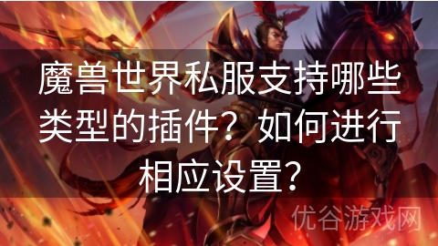 魔兽世界私服支持哪些类型的插件？如何进行相应设置？