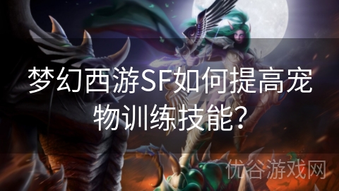 梦幻西游SF如何提高宠物训练技能？