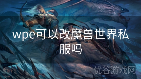 wpe可以改魔兽世界私服吗