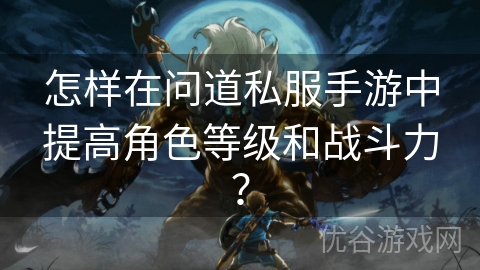 怎样在问道私服手游中提高角色等级和战斗力？