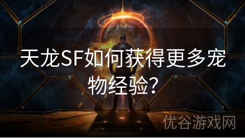 天龙SF如何获得更多宠物经验？